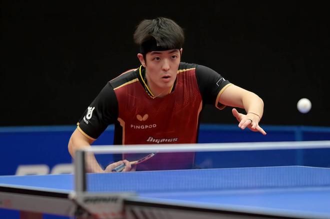 他们不仅具 他们不仅具