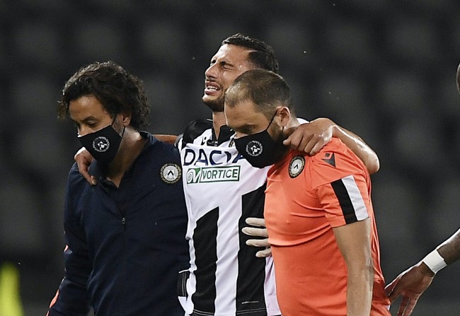 的可解释性 的可解释性